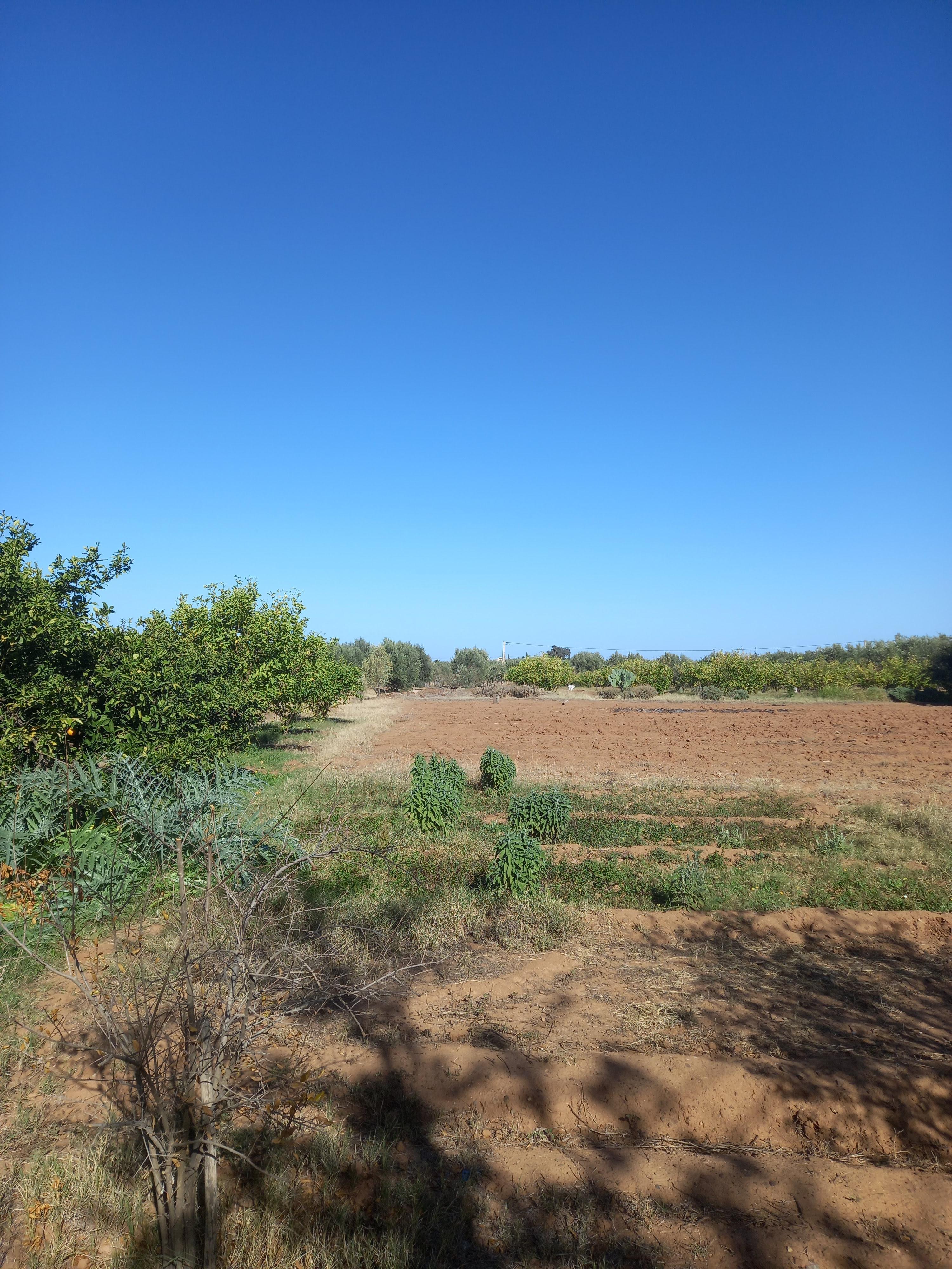 Lot de villa de 2542 m² Rte d'ourika melkia — 4