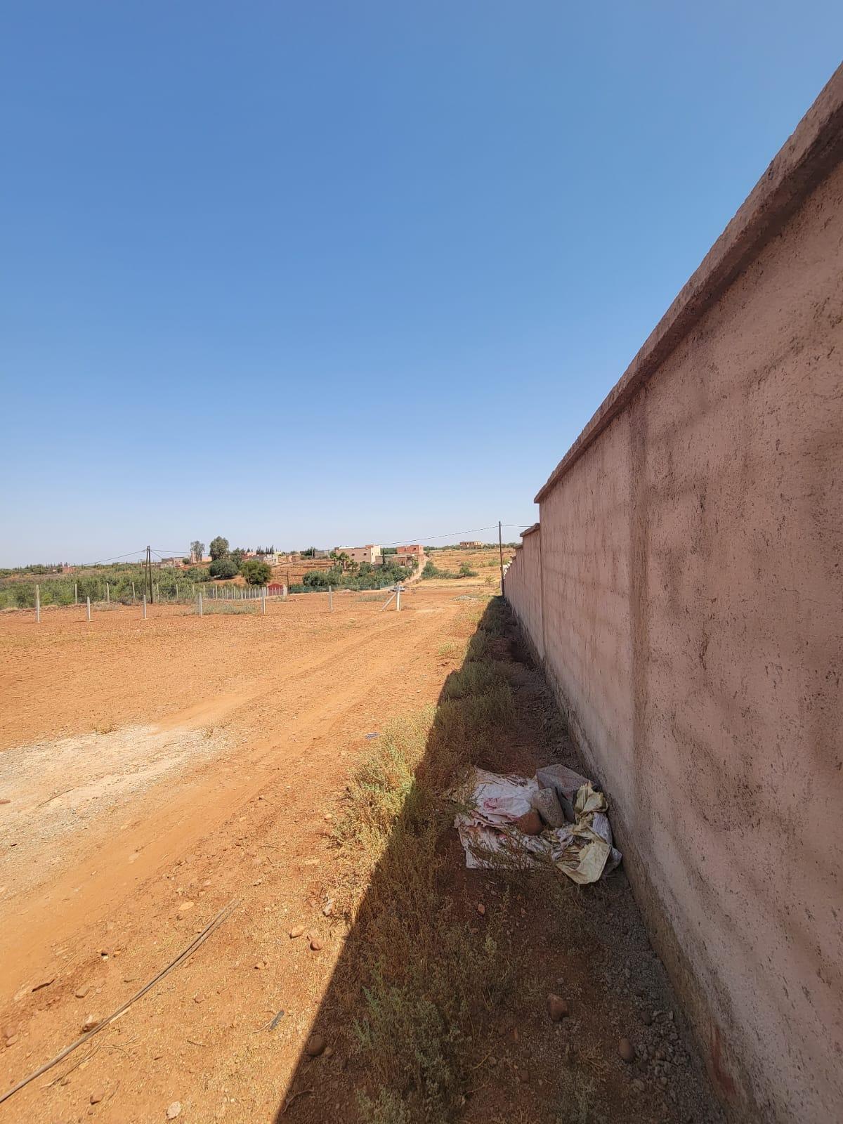Terrain melkia de 730 m² sur la route d'ourika — 4