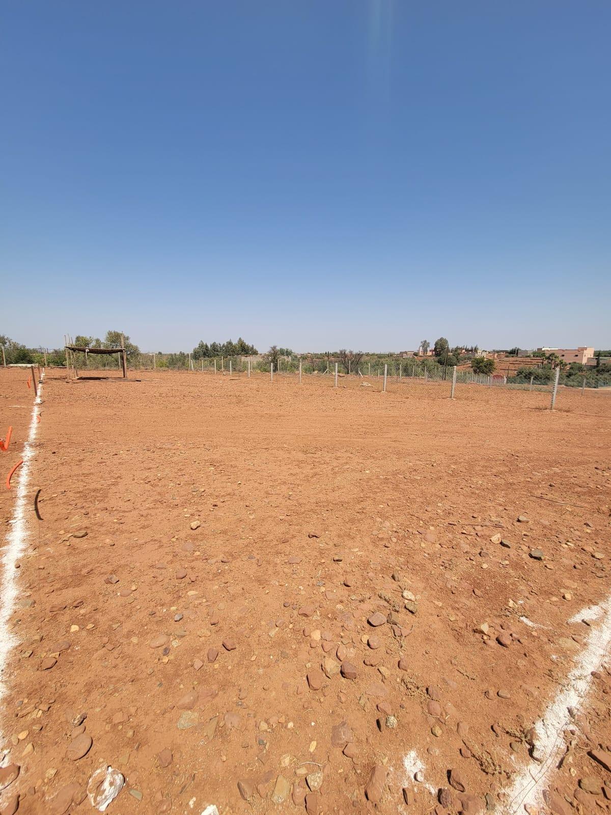 Terrain melkia de 730 m² sur la route d'ourika — 5