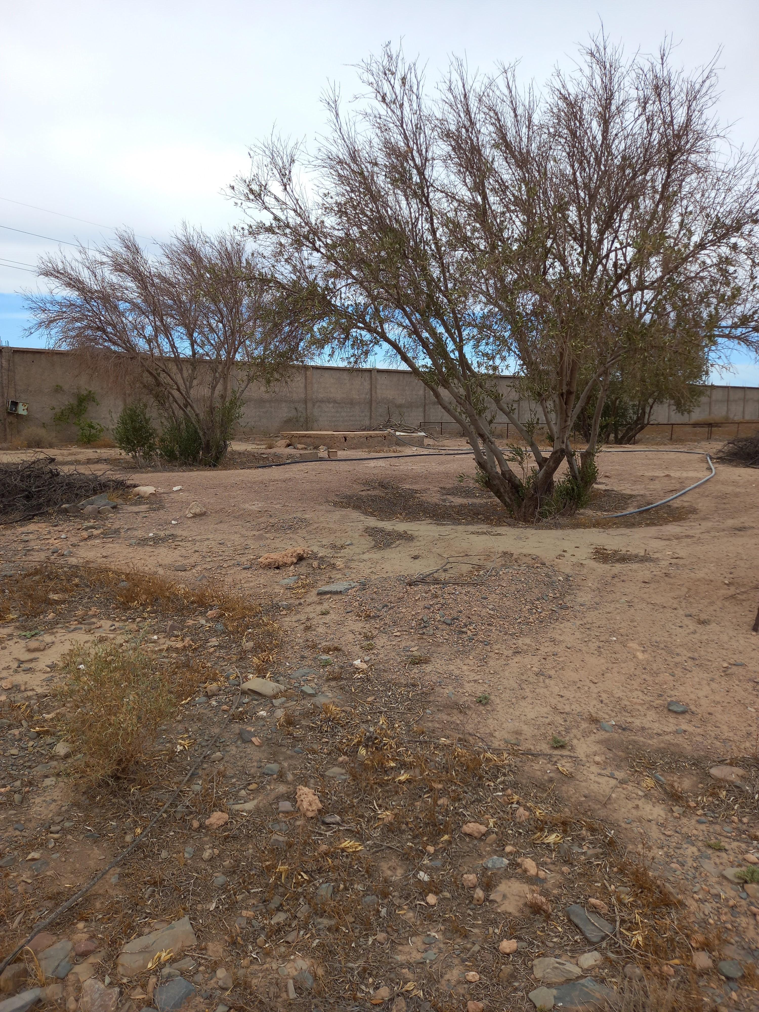 Terrain 19729 m² f Route de Casablanca — 7