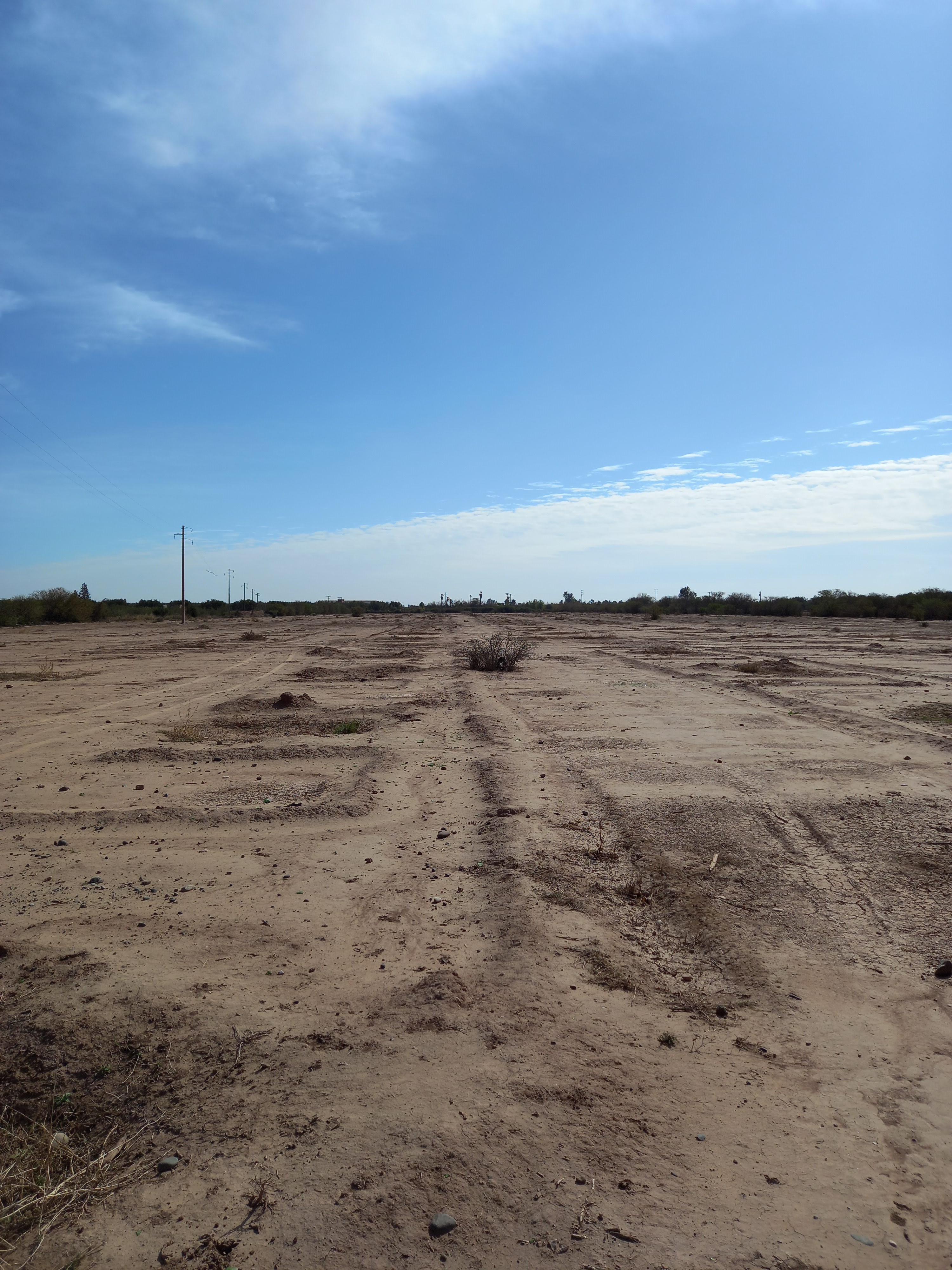 Terrain titré de 4.5 hectares à 11 km du centre ville — 2