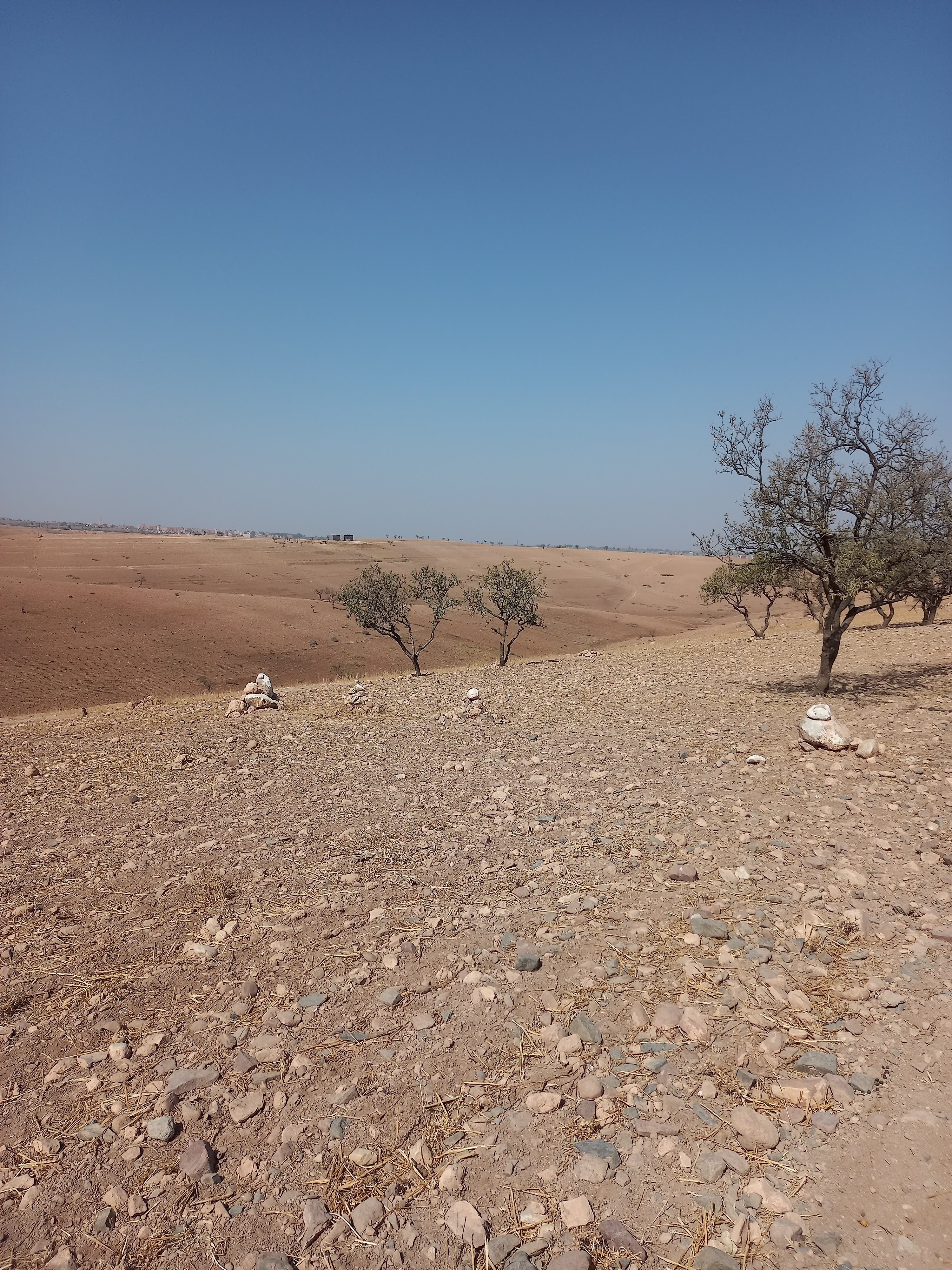 Terrain de 4.6H à Tahnaout 30 km de Marrakech — 4