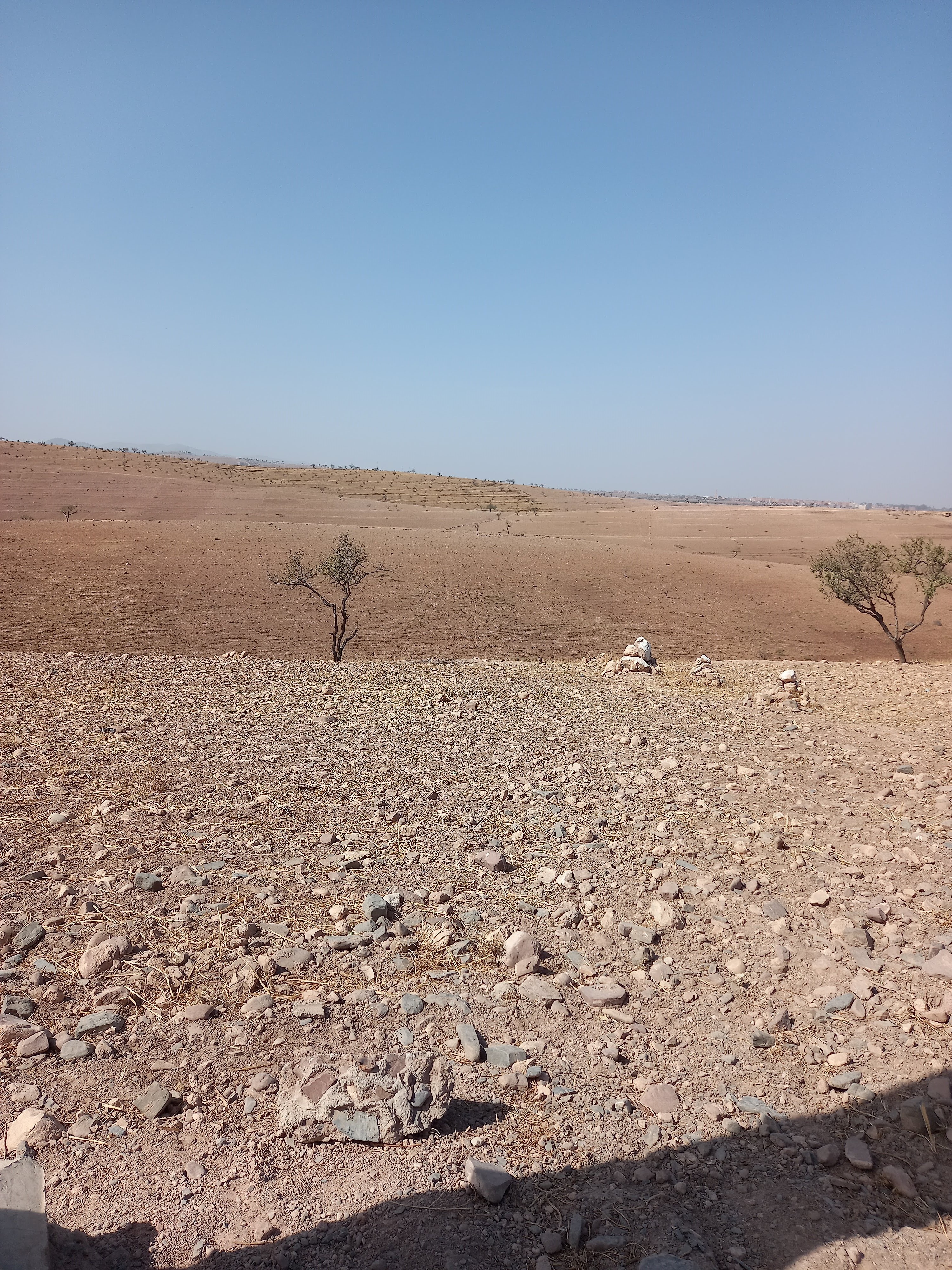 Terrain de 4.6H à Tahnaout 30 km de Marrakech — 2