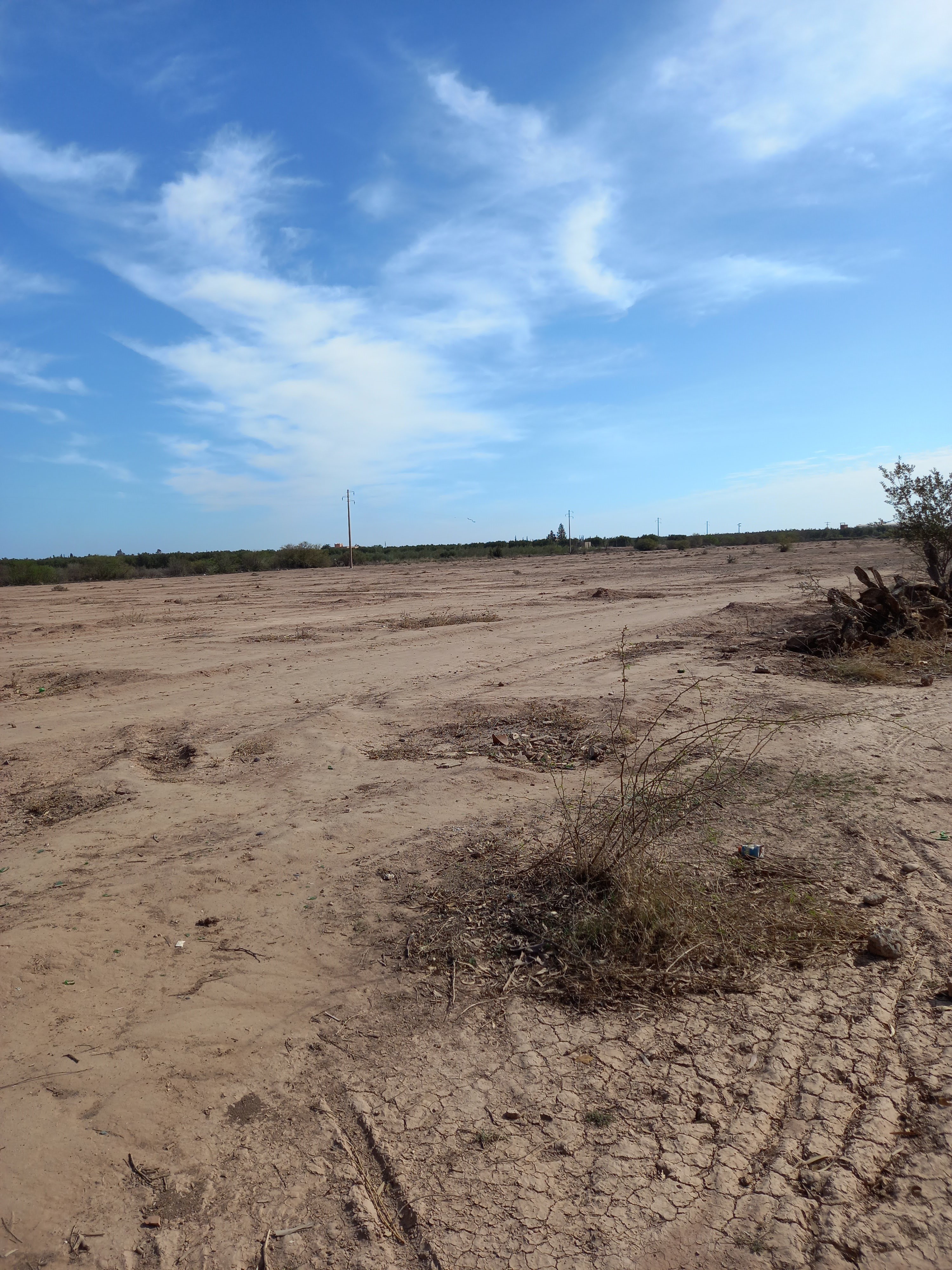 أرض 45170 م² في Route d'agadir — 7