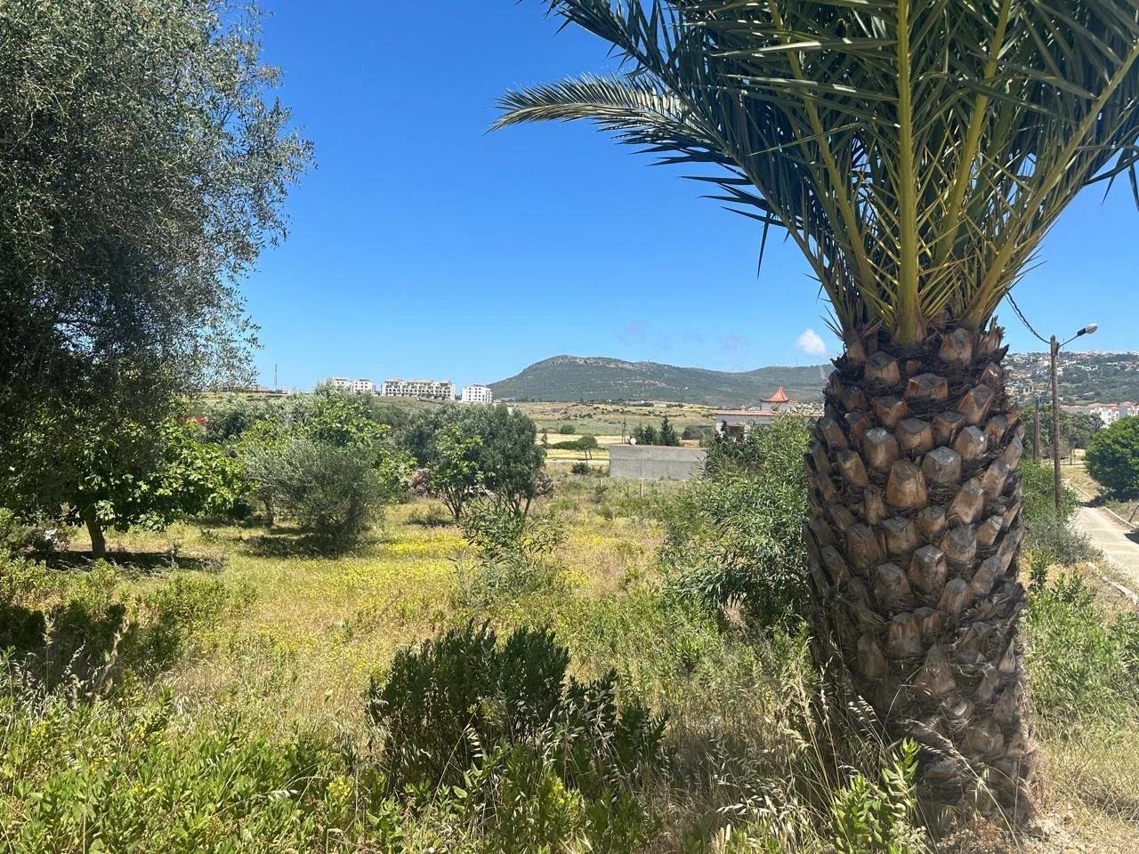 Terrain pour Villa à Tanger, 1801 m²