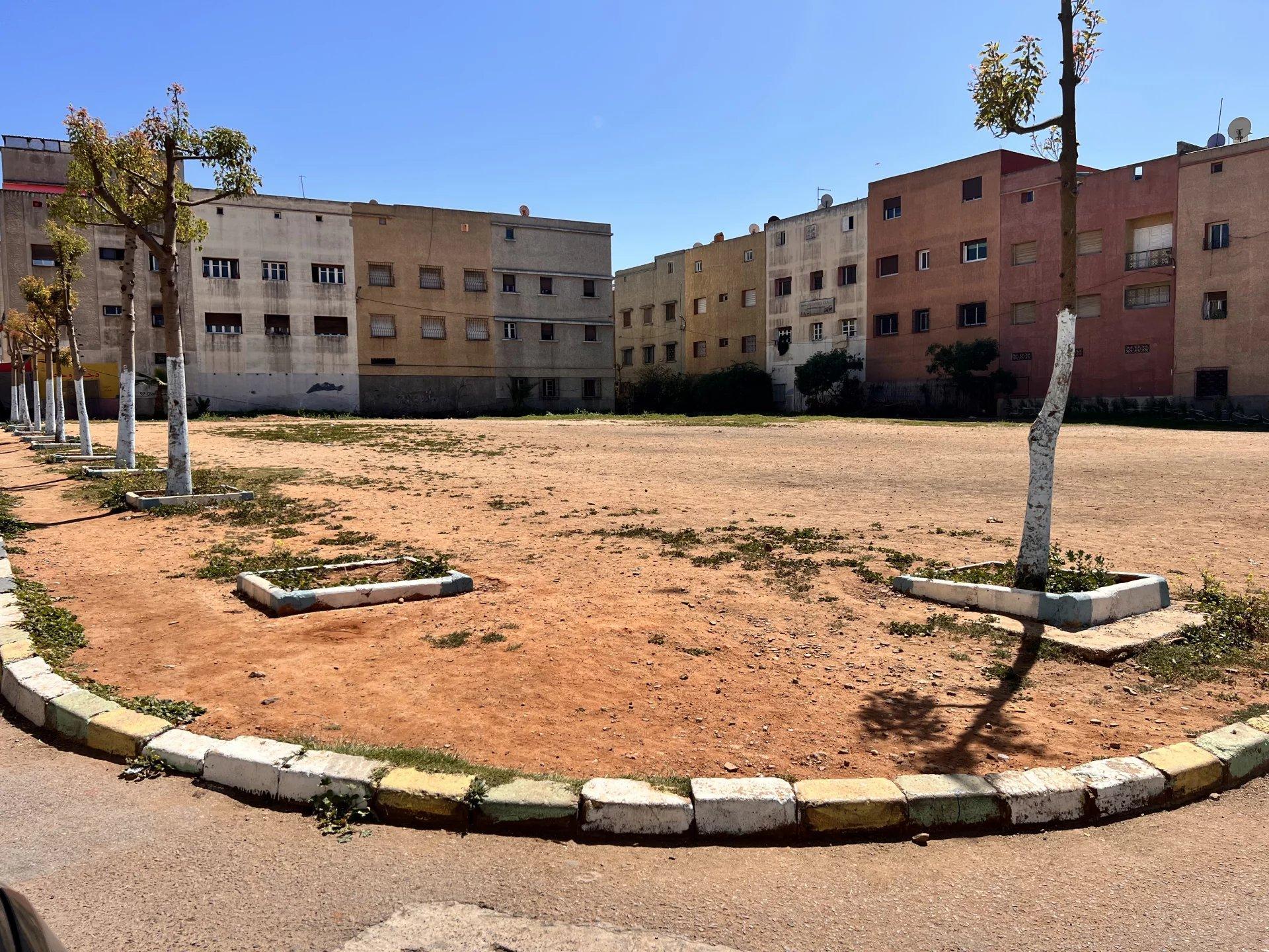 VENTE TERRAIN CONSTRUCTIBLE MOHAMMADIA — 2