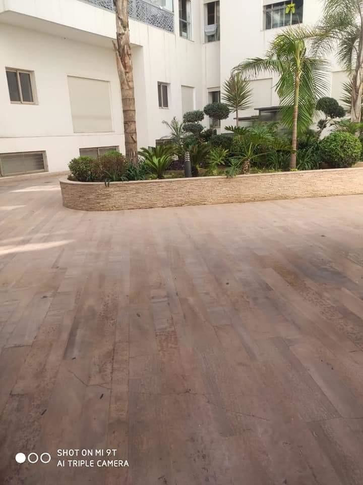 Agréable studio à louer offre exceptionnelle — 2