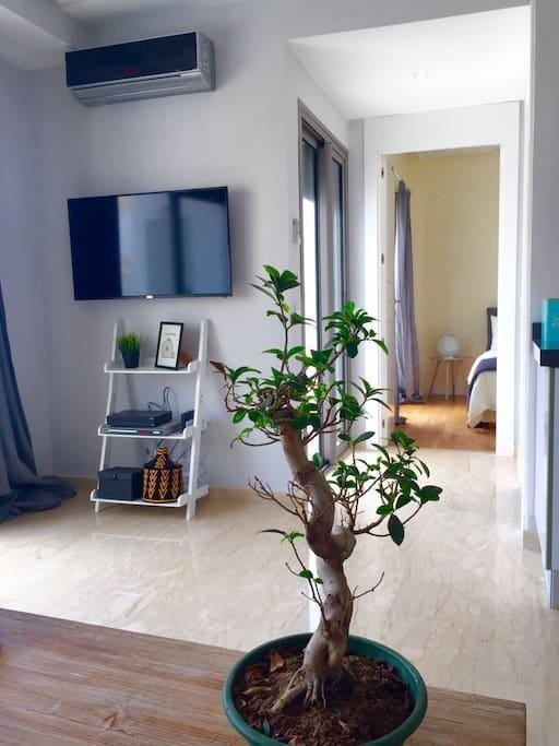 Studio 45 m² à Gauthier — 8
