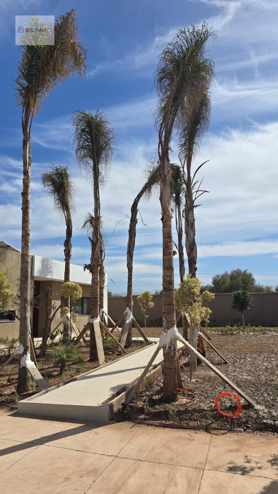 Villa 320 m² à Route de Ouarzazate — 7