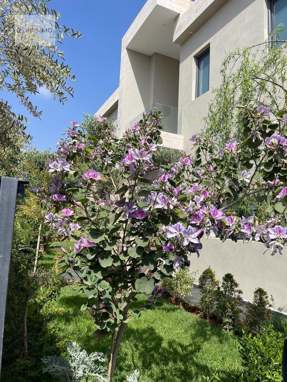 Villa 300 m² à Chrifia — 10