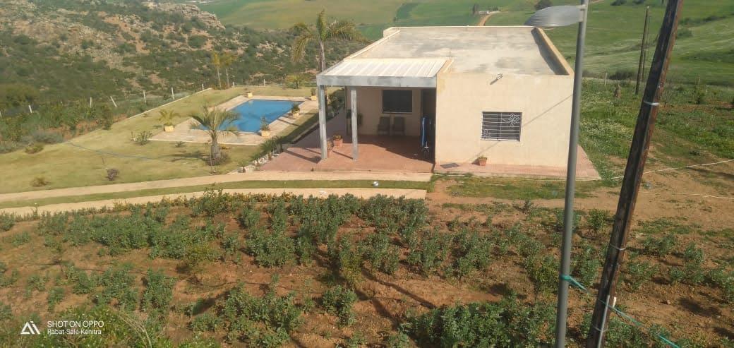 Ferme exceptionnelle à sidi yahya Zaers — 3