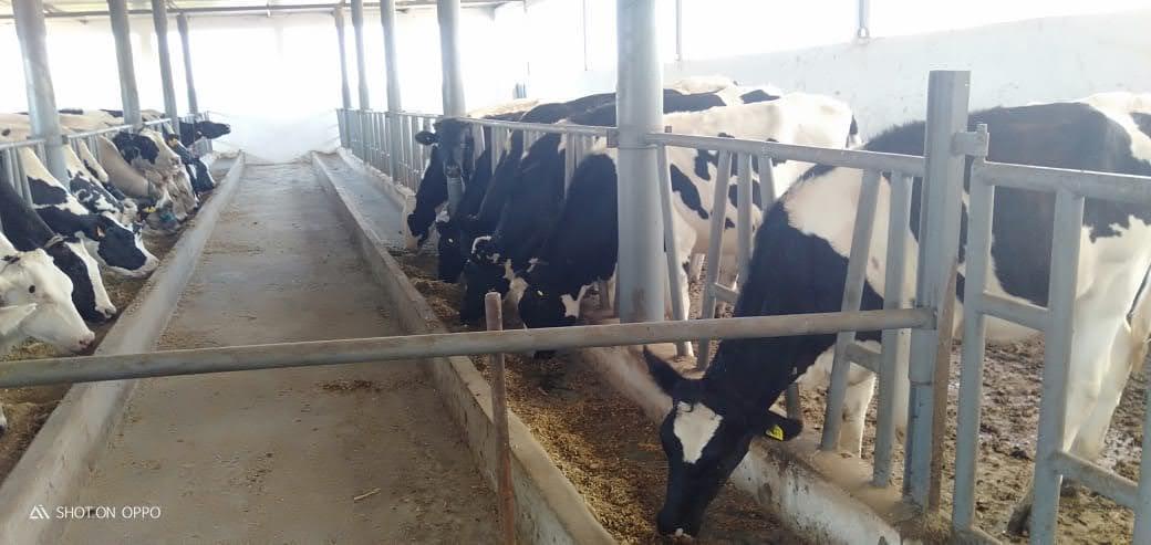 Ferme exceptionnelle à sidi yahya Zaers — 5