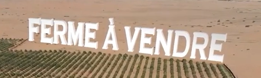 vente ferme de 65000 m à skhirate