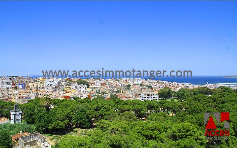 Grand appartement vide au centre ville — 2