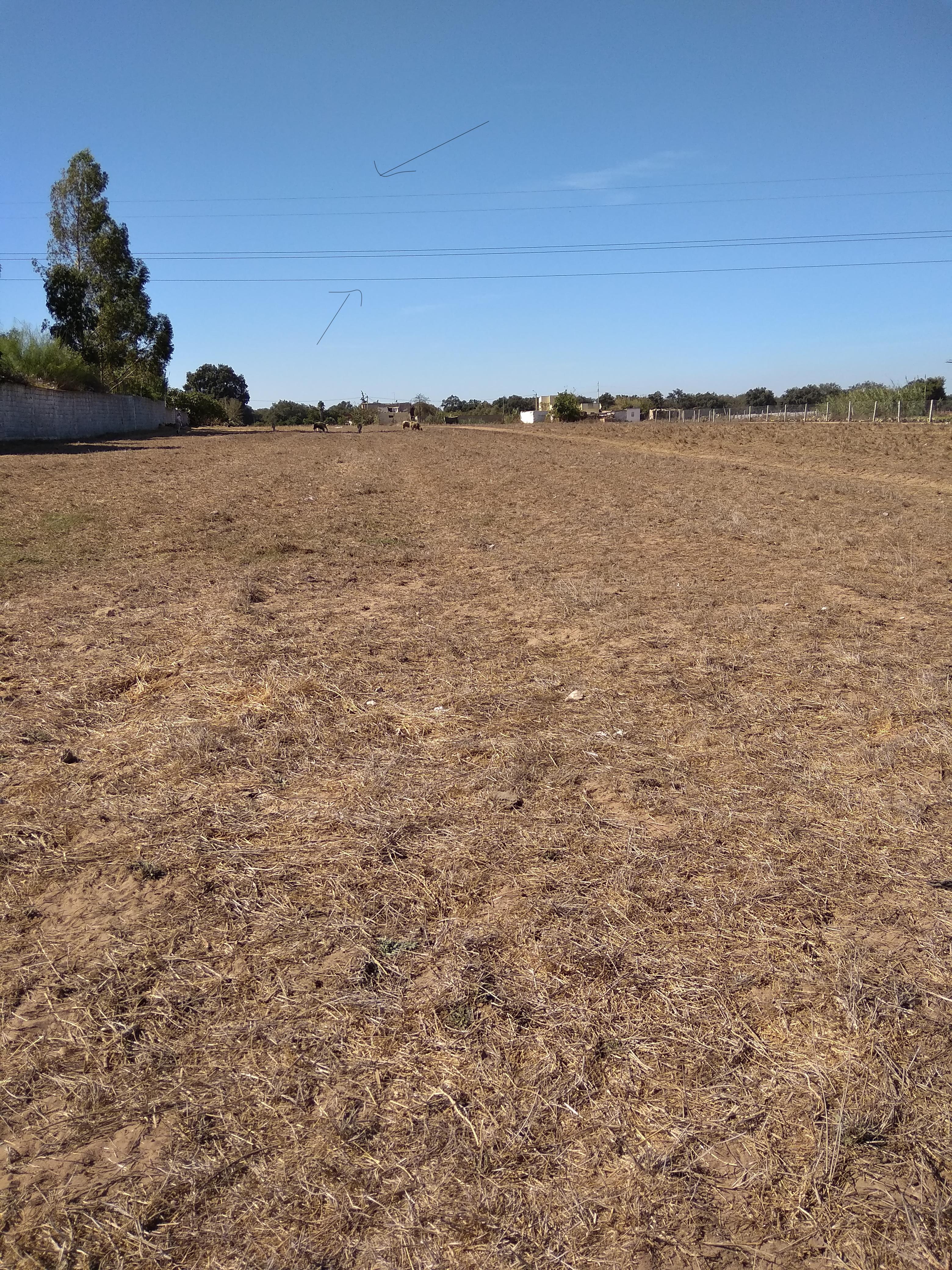 Terrain Titre a El Menzeh 6500 m2 - Zone D4