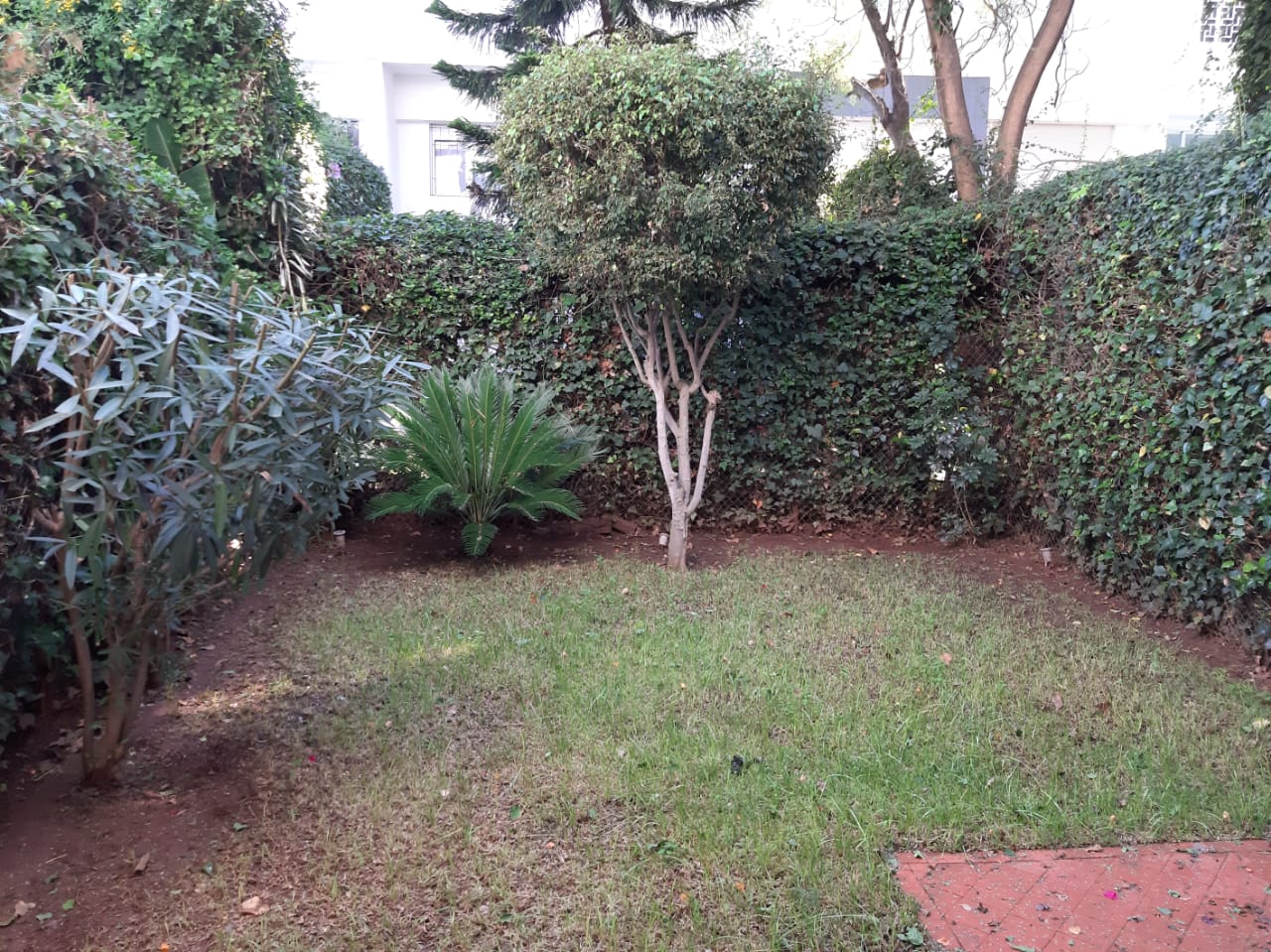 Triplex en location vide sur C.I.L  3 CH