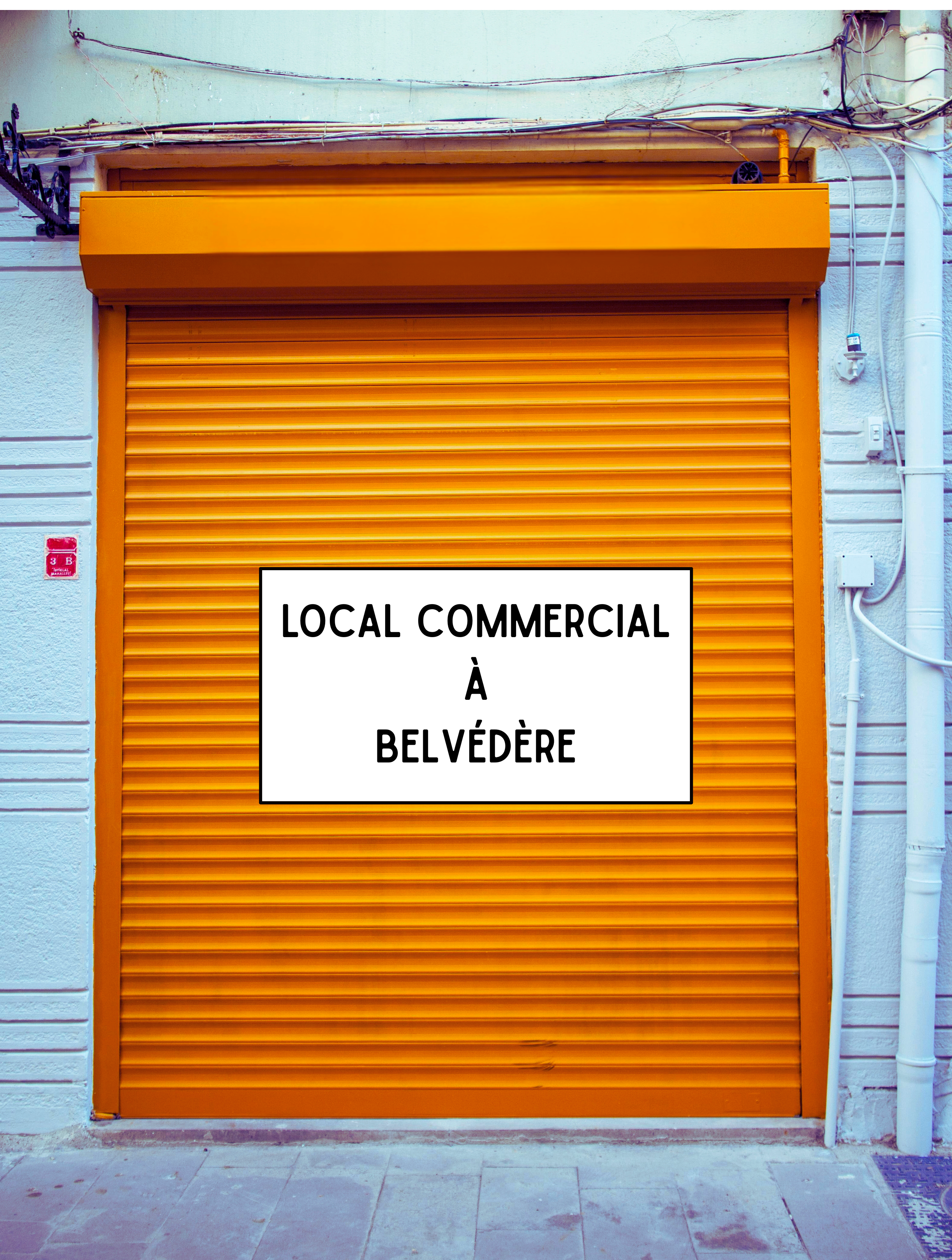 Local commercial à Belvédère