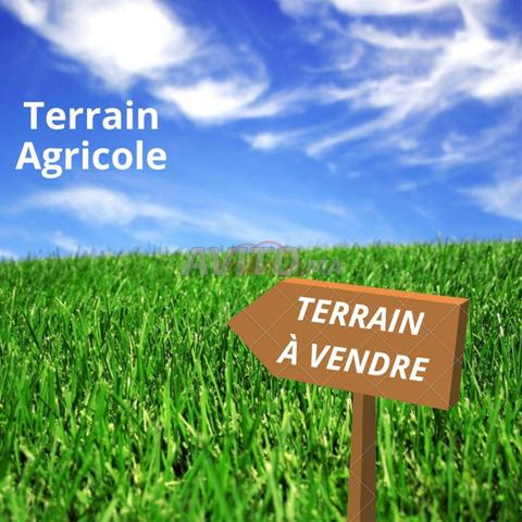 Terrain Agricole Titré  47 Hectares Route d'Ourika