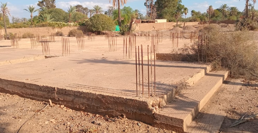 Terrain titré à la Palmeraie–1 Ha 200 — 6