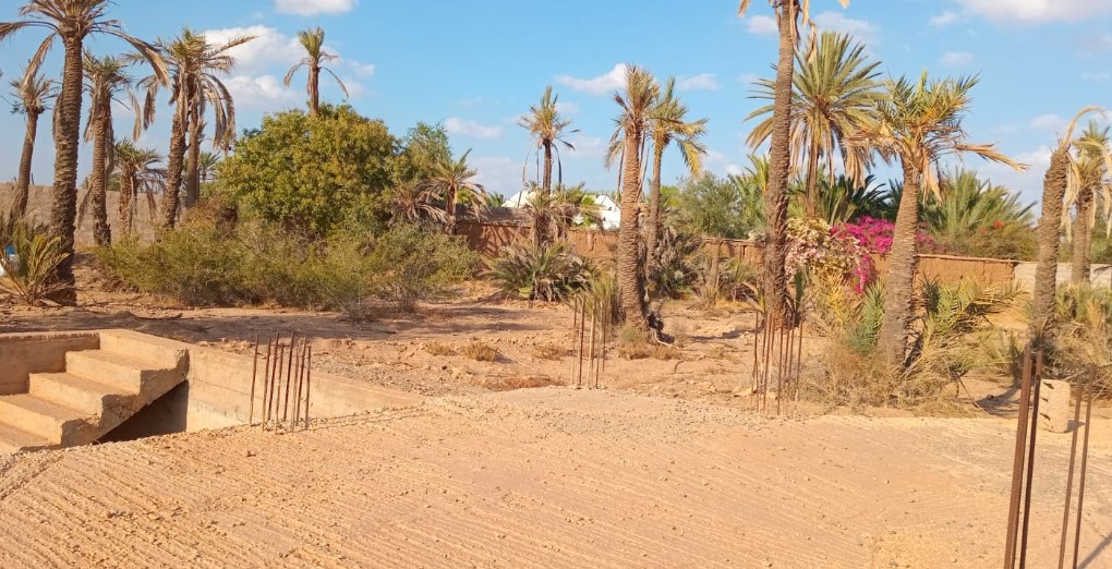 Terrain titré à la Palmeraie–1 Ha 200 — 4