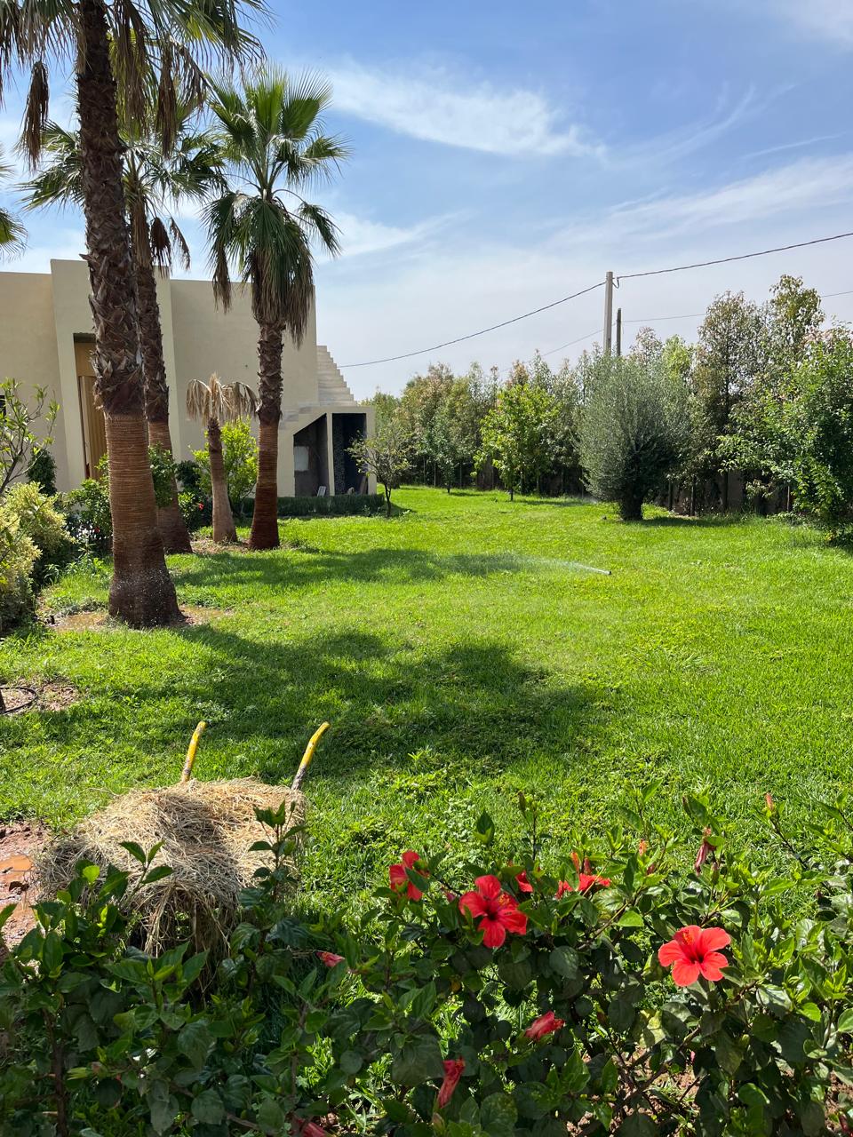 Villa 3200 m² à Sidi Abdellah Ghiat — 10