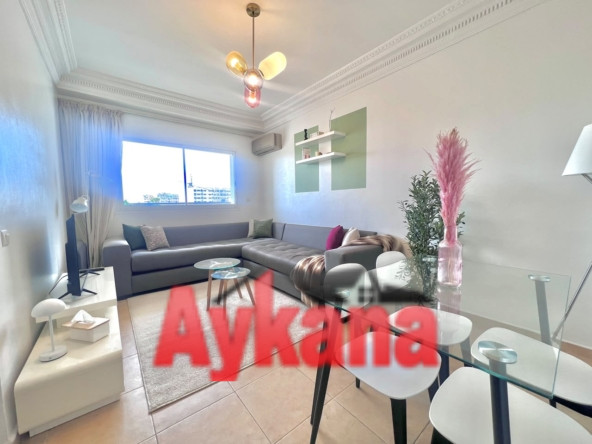 Location Appartement Meublé à Rabat Bas Agdal